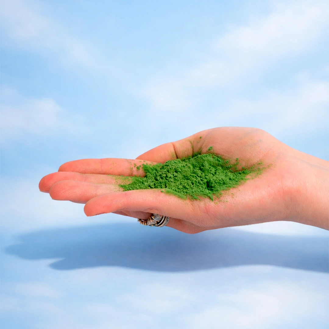 Matcha Ceremonial - Imagen 2