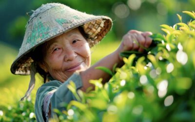 L-Teanina: qué es y cuáles son sus beneficios